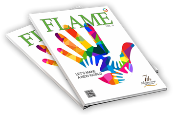 Picture of FLAME vol 11