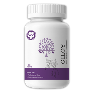 Picture of GILOY EXTRACT 