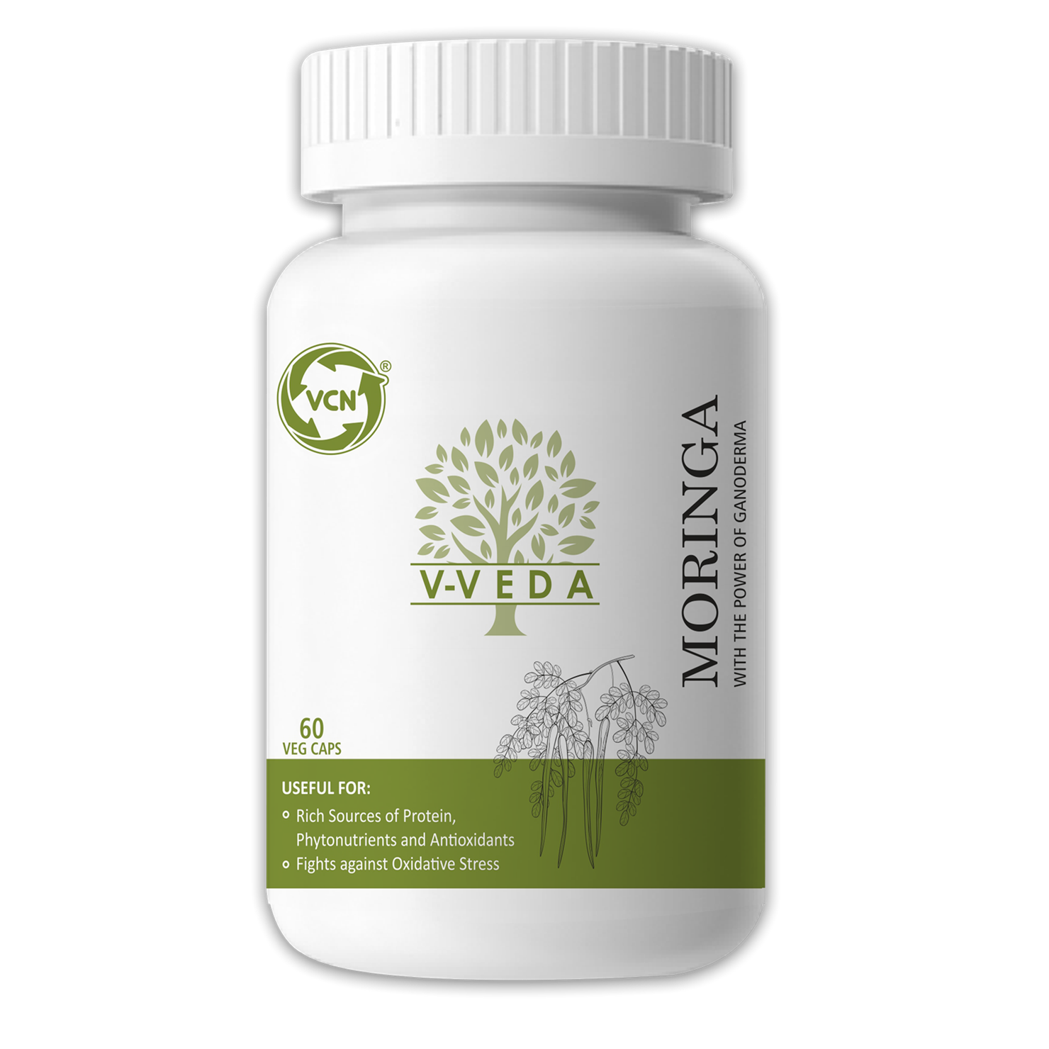 Picture of MORINGA EXTRACT